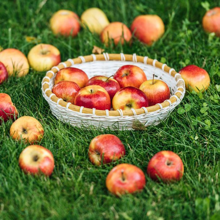 Apples on the ground and in a basket