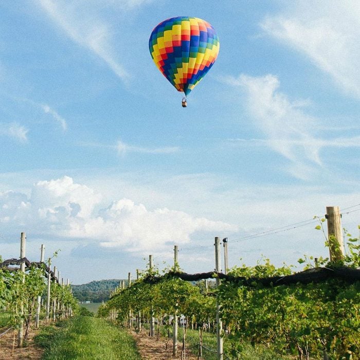Soaring Wings Vineyard with a hot balloon flying overhead