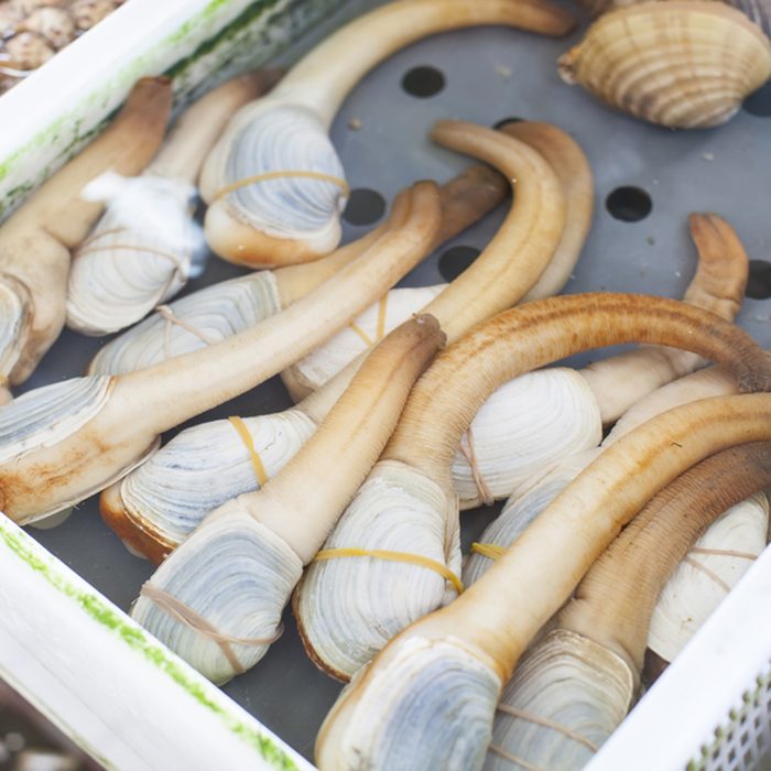 geoduck in seafood market