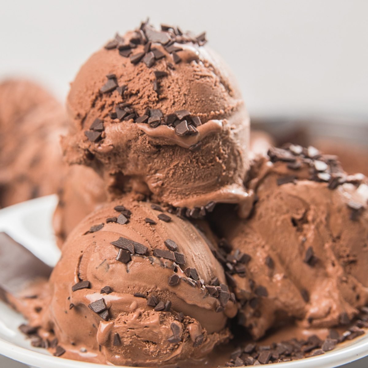 Ice cream with chocolate and chocolate chips; Shutterstock ID 1010248351; Job (TFH, TOH, RD, BNB, CWM, CM): Taste of Home