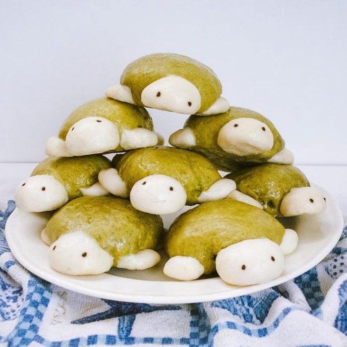 turtle shaped steam buns