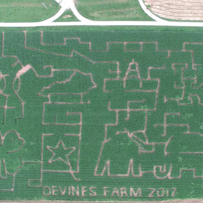 Devine's Corn Maze and Pumpkin Patch sign