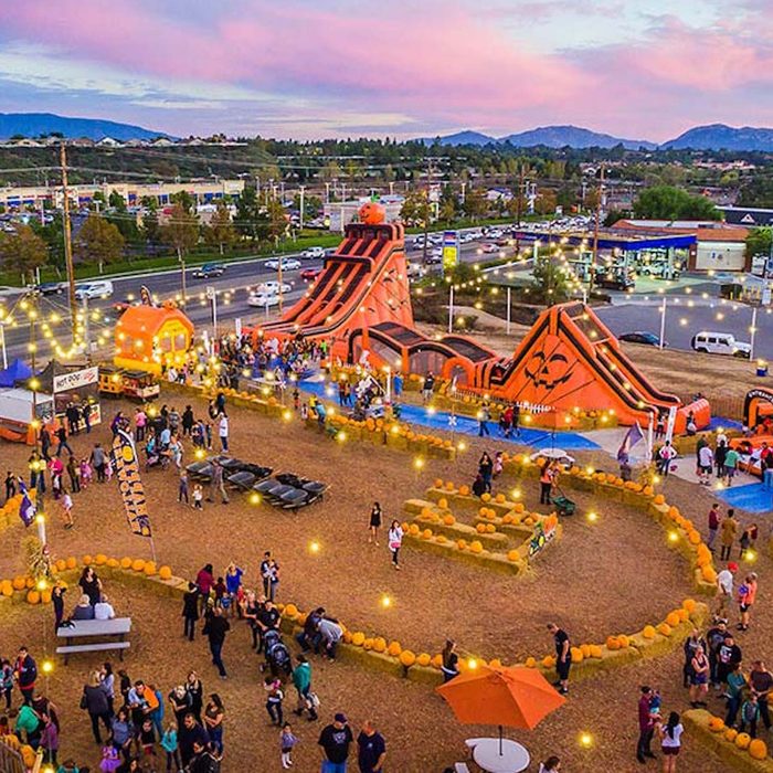 Stu Miller's Pumpkin Patch