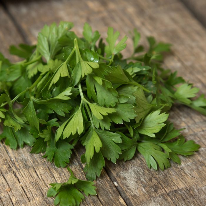 Green tops of parsley on a wooden background.