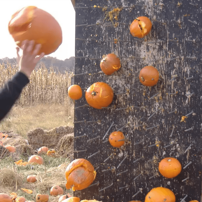 Throwing pumpkins
