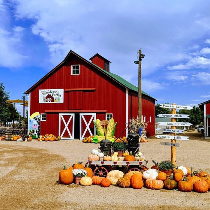 Anderson Farms