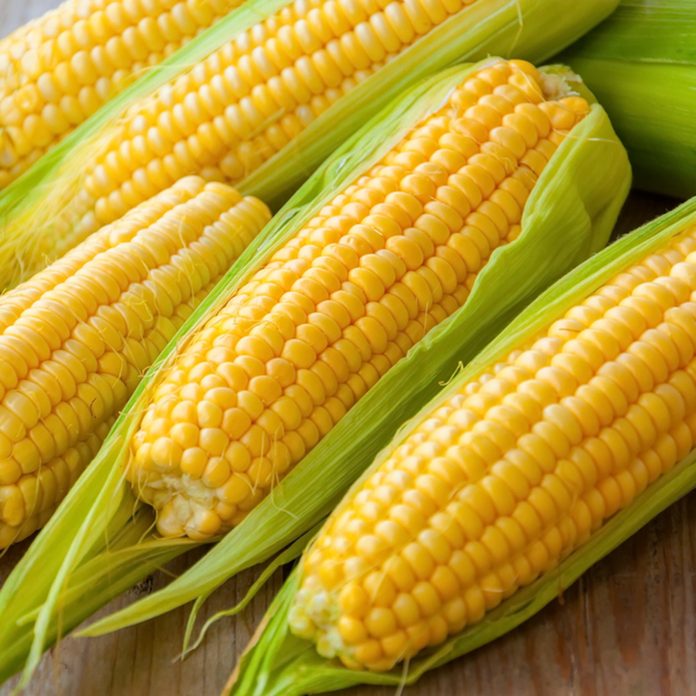 Fresh corn on cobs on rustic wooden table