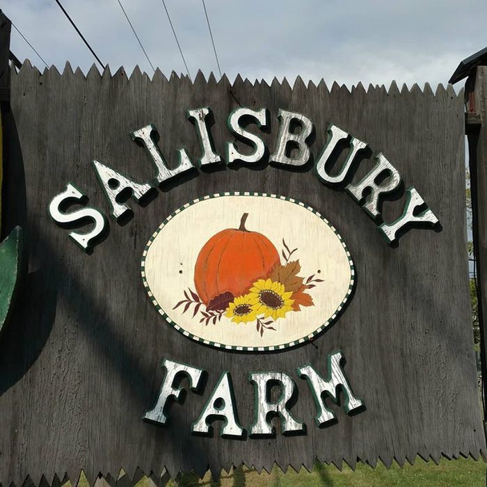 Salisbury Farm