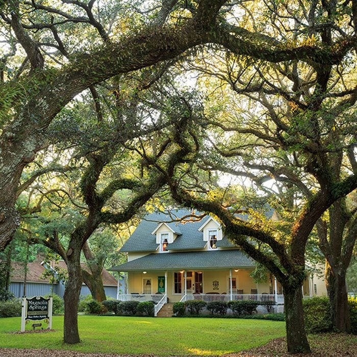 Magnolia Springs Bed And Breakfast