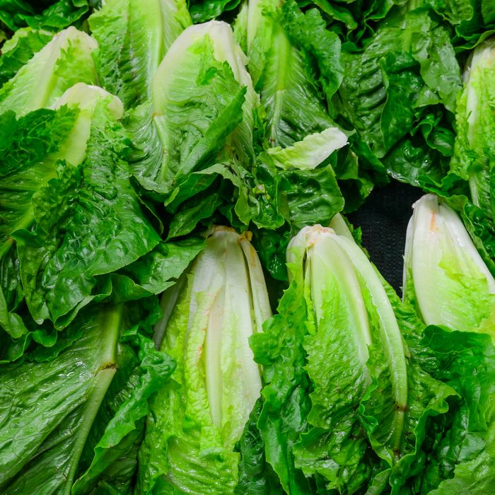 Group of fresh organically grown fresh romaine lettuce