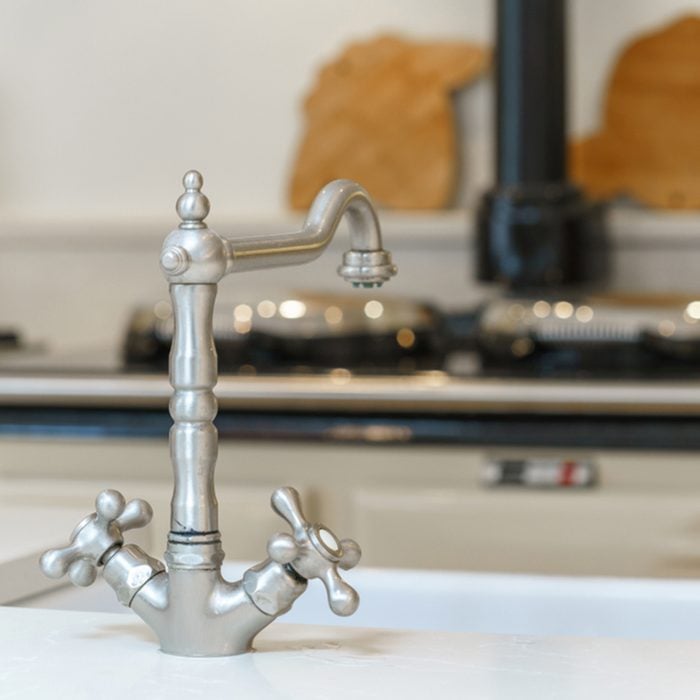 Vintage stylish faucet in the kitchen