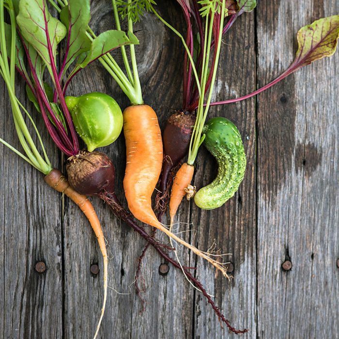 Trendy ugly organic carrot, beetroot and cucumber from home garden