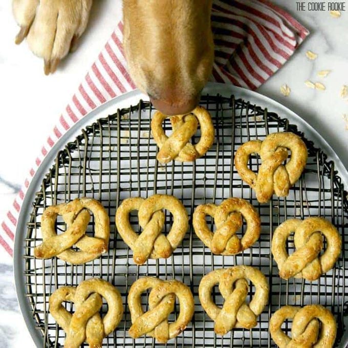 Oat and Apple Dog Pretzel Treats