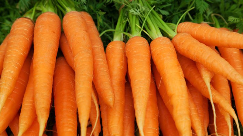 Image result for Carrots
