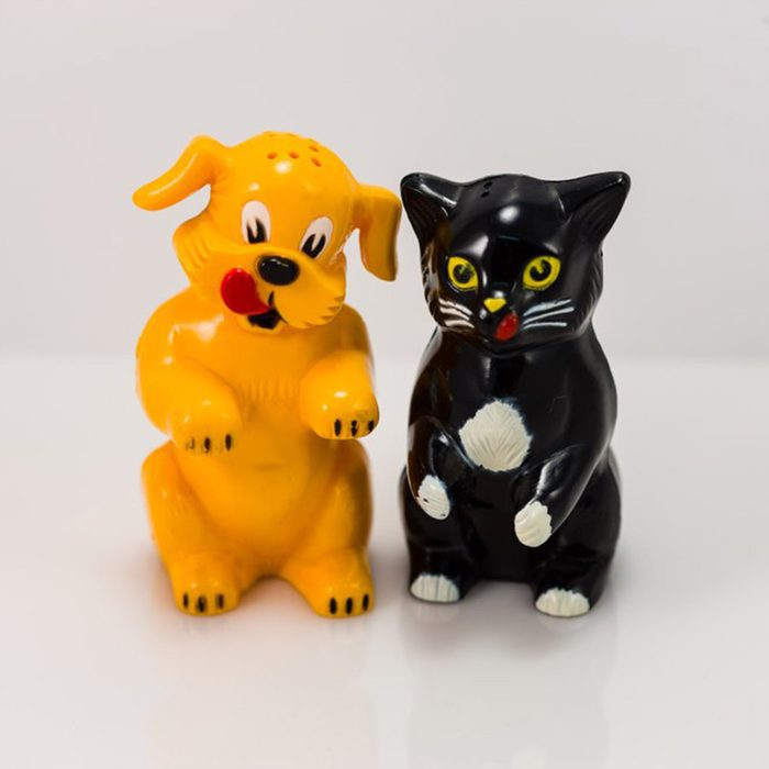 Cat and Dog Salt and pepper shakers