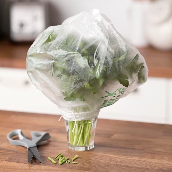 showing how to store parsley in a glass with water