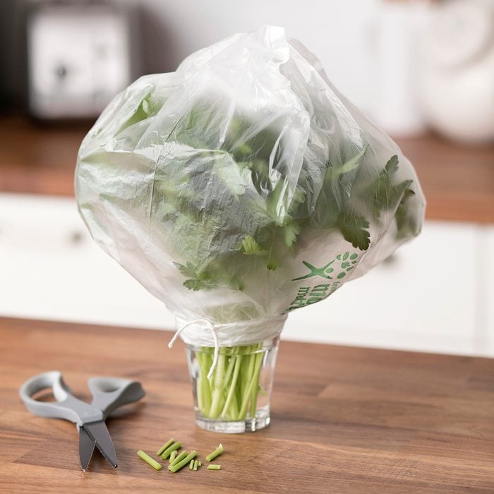 Parsley covered by a plastic bag