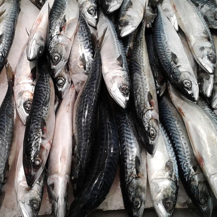 Fresh mackerel fish at the market.