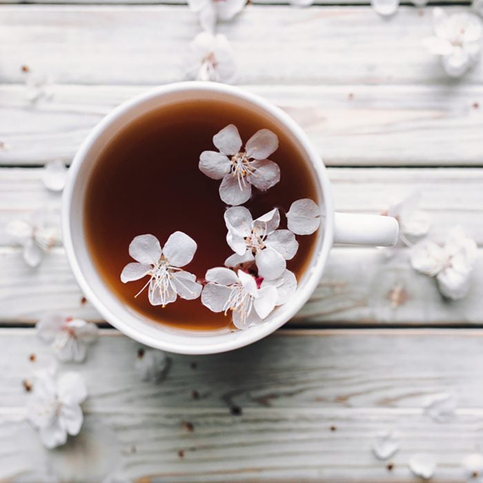 Cup of tea and spring apricot blossom on a white wooden background.
