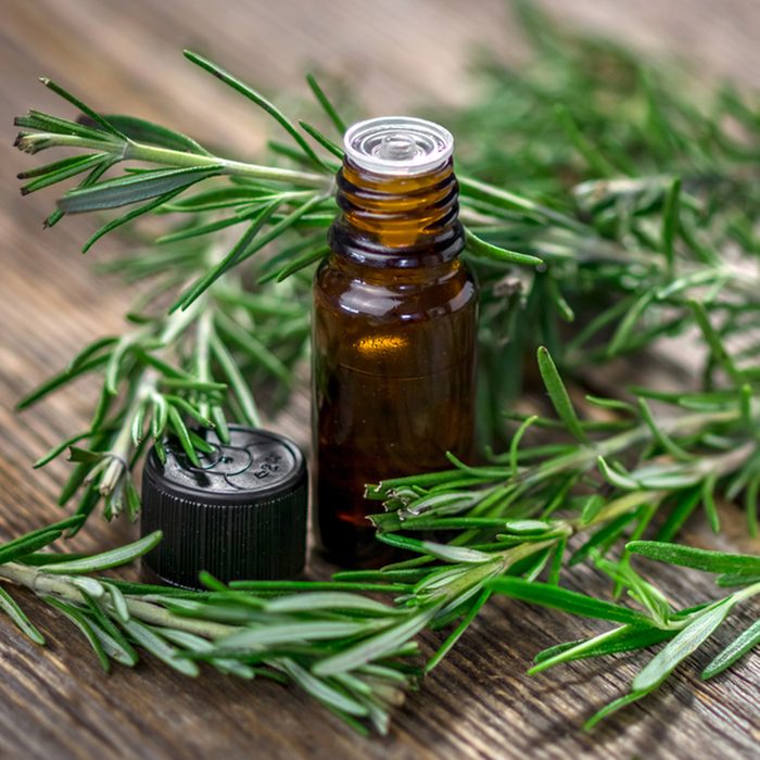 Rosemary essential oil and fresh rosemary ; Shutterstock ID 552134410; Job (TFH, TOH, RD, BNB, CWM, CM): TOH