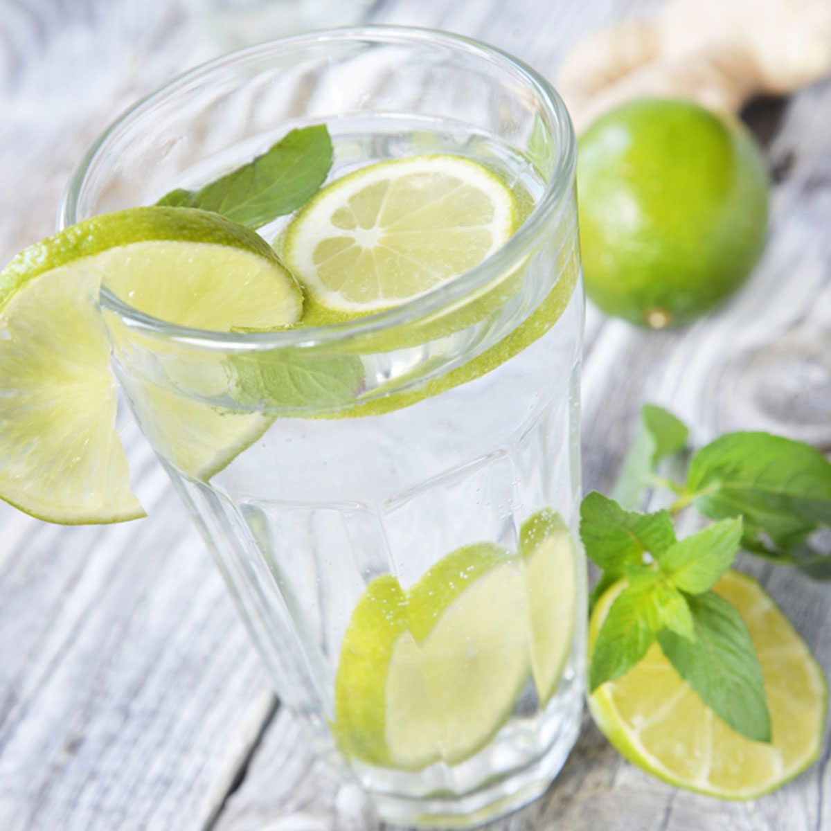 glass of detox water with lime and mint; Shutterstock ID 701411638; Job (TFH, TOH, RD, BNB, CWM, CM): Taste of Home