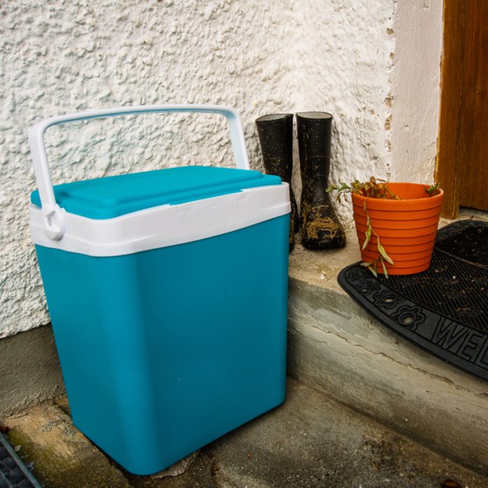 Still life of cooler with rubber boots and flower pot standing outside; Shutterstock ID 1185474436; Job (TFH, TOH, RD, BNB, CWM, CM): TOH