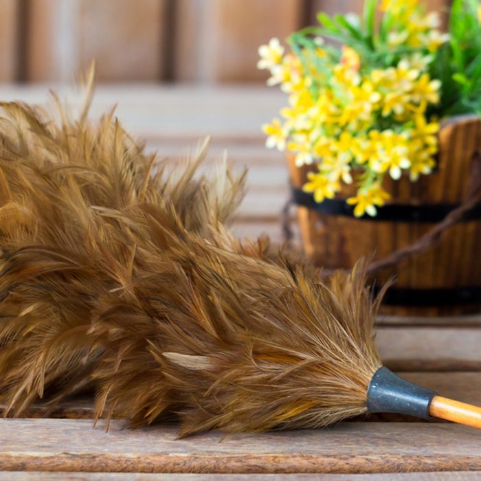 Feather duster on a table
