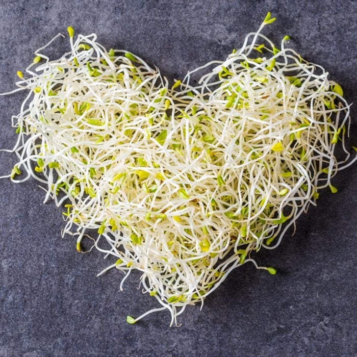 Alfalfa seed sprouts