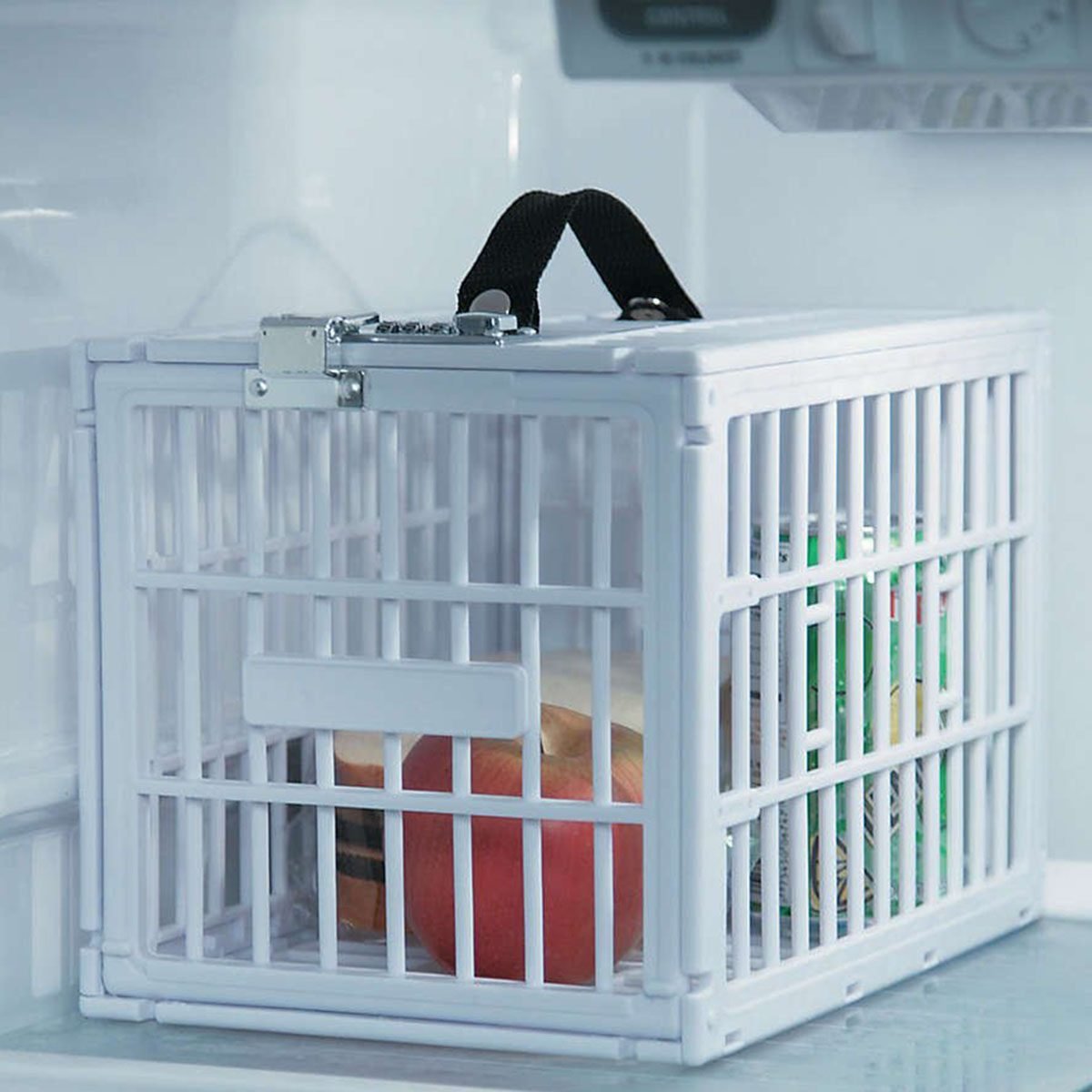 A Fridge Locker and 9 Other Ways To Protect Your Lunch at Work