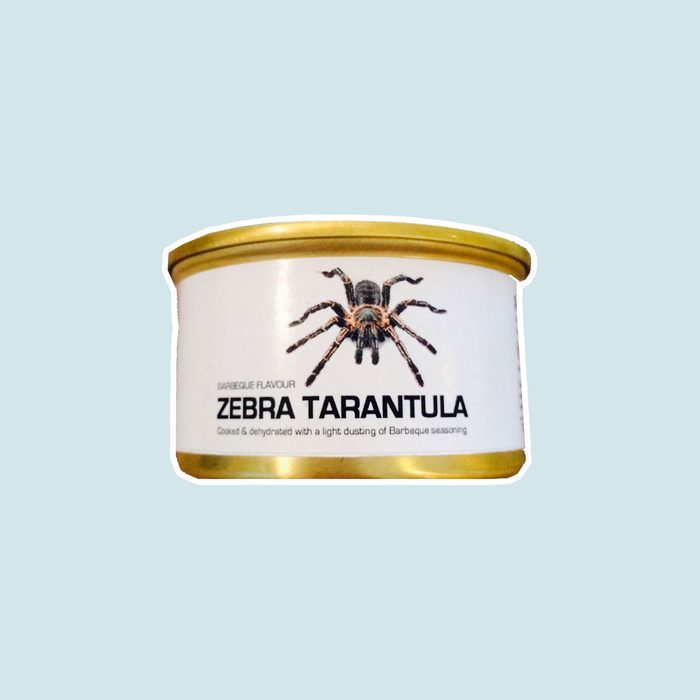 Zebra Tarantula