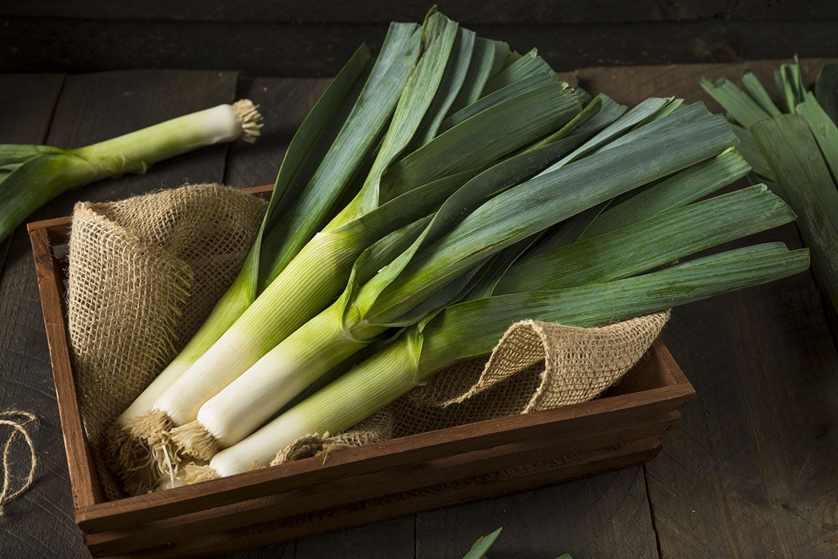 leeks-shutterstock_555301699.jpg