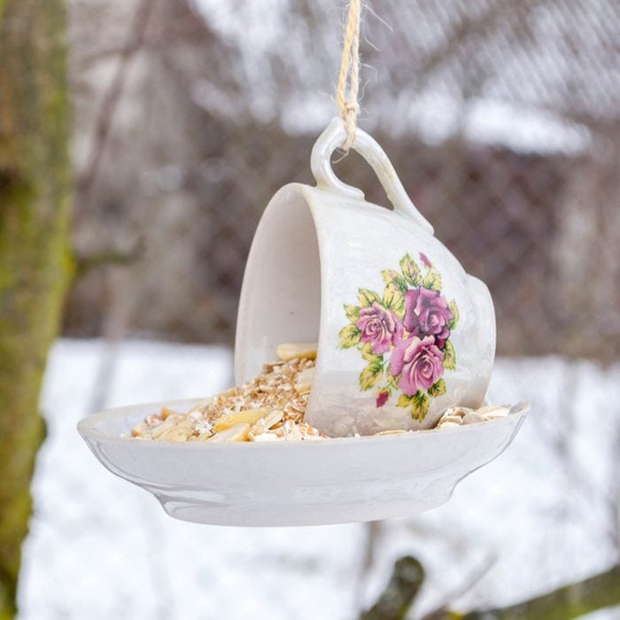 Teacup bird feeder made from a vintage cup and saucer glued together.