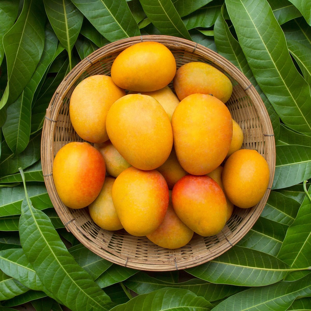 9 Benefits of Mango That You Should Know