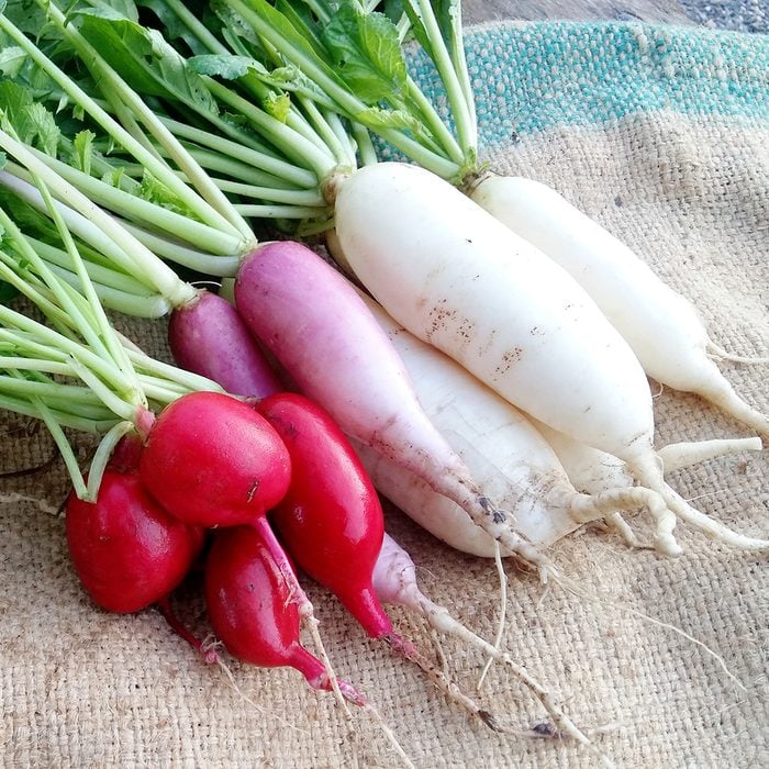 White radishes and radishes, purple and Radish that are snugly and beautifully arranged.