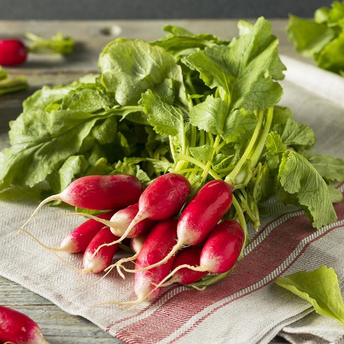 Raw Organic Fresh French Radishes Ready to Eat