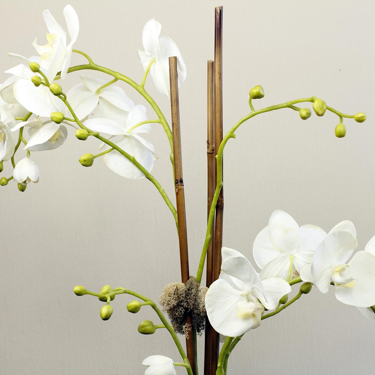 Artificial flower plant of silk white orchids with green buds and two wooden supports.