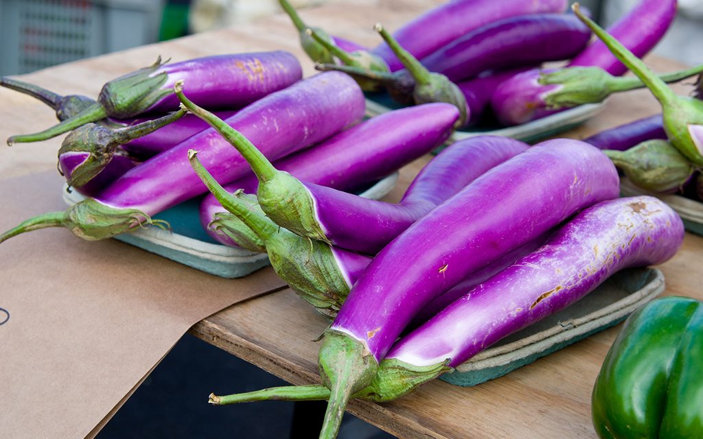 Multiple Japanese Eggplants at the Farmers Market