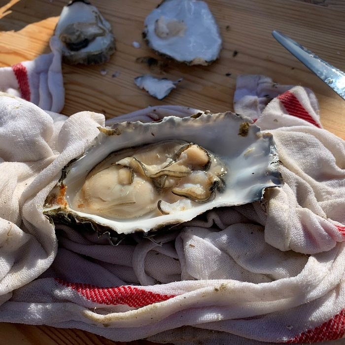 Oyster shucking picnic.