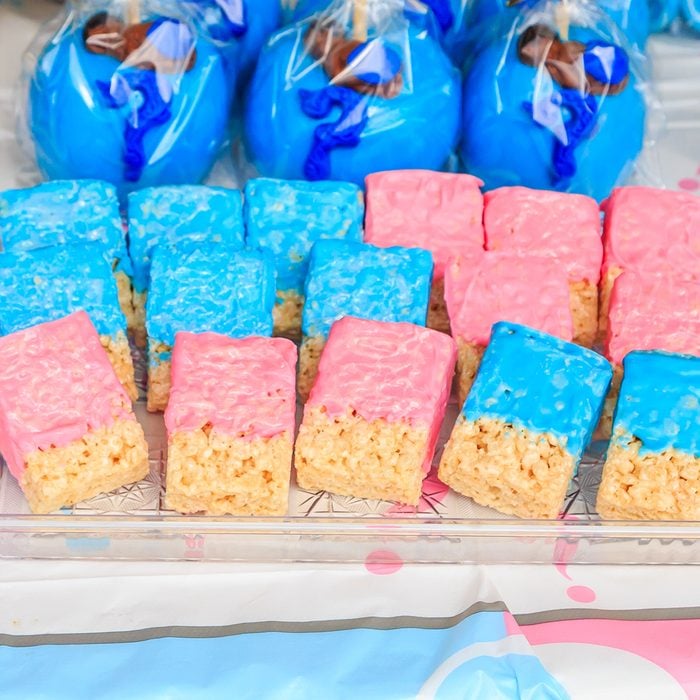 Pink and Blue, Outdoor Gender Reveal Party Decorations