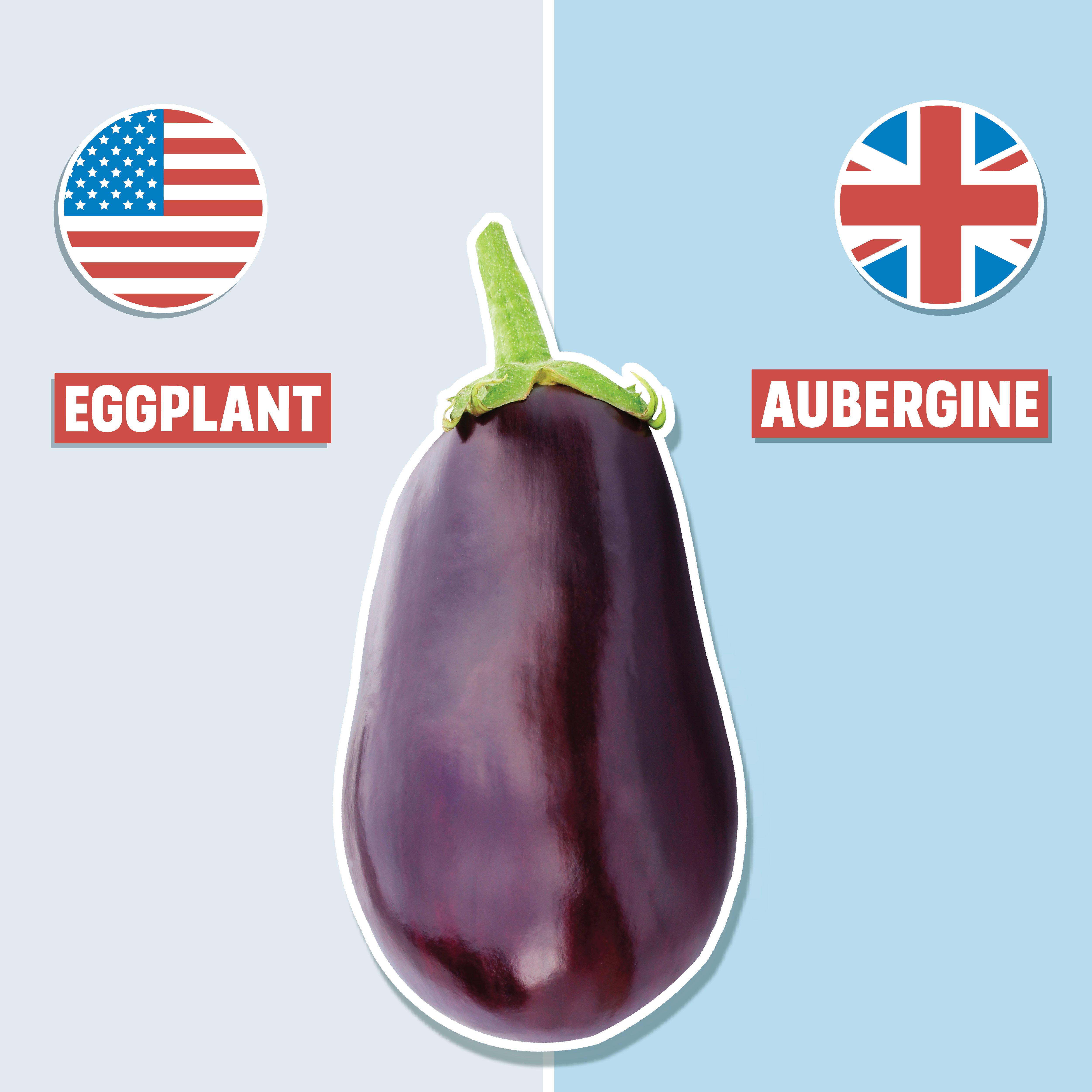 eggplant on blue background with american and british english pronunciation on either side