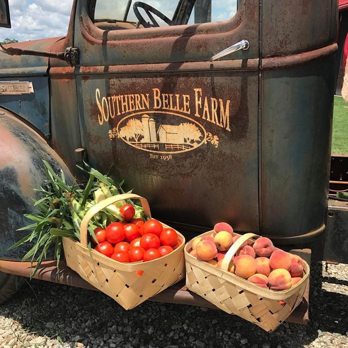 Southern Belle Farm