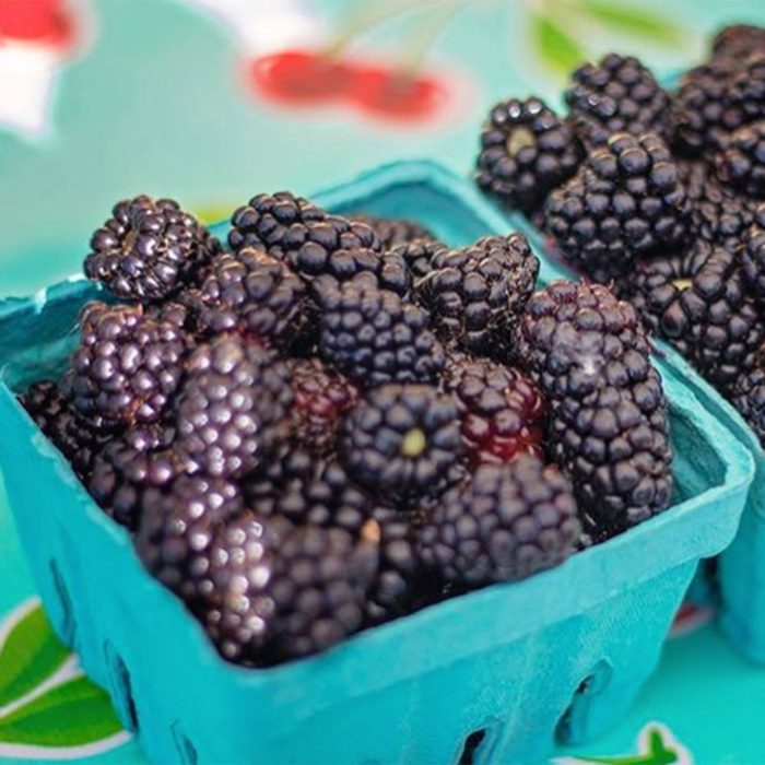 Blackberries in cartons