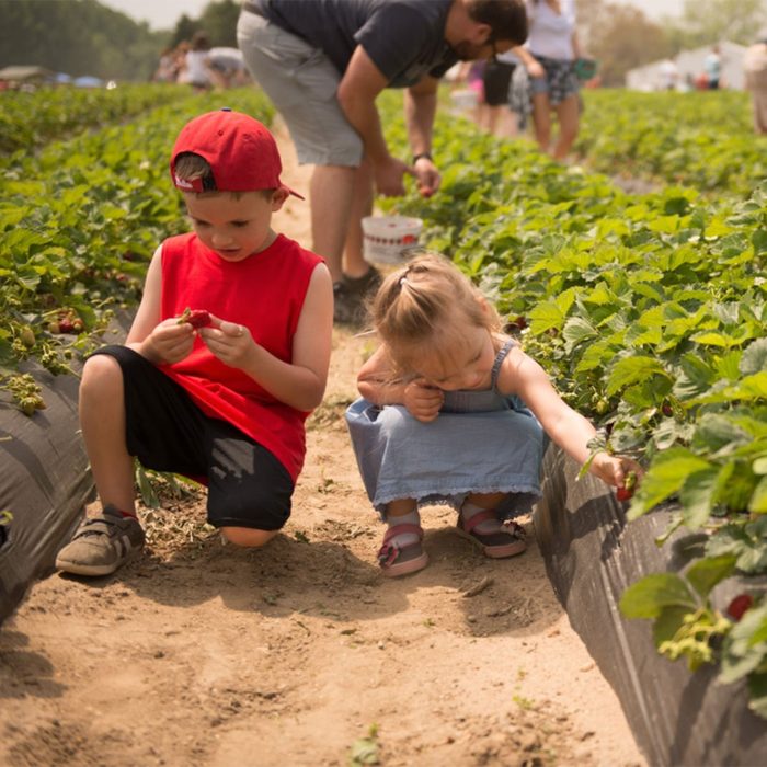 Fifer Orchards - Farm & Country Store