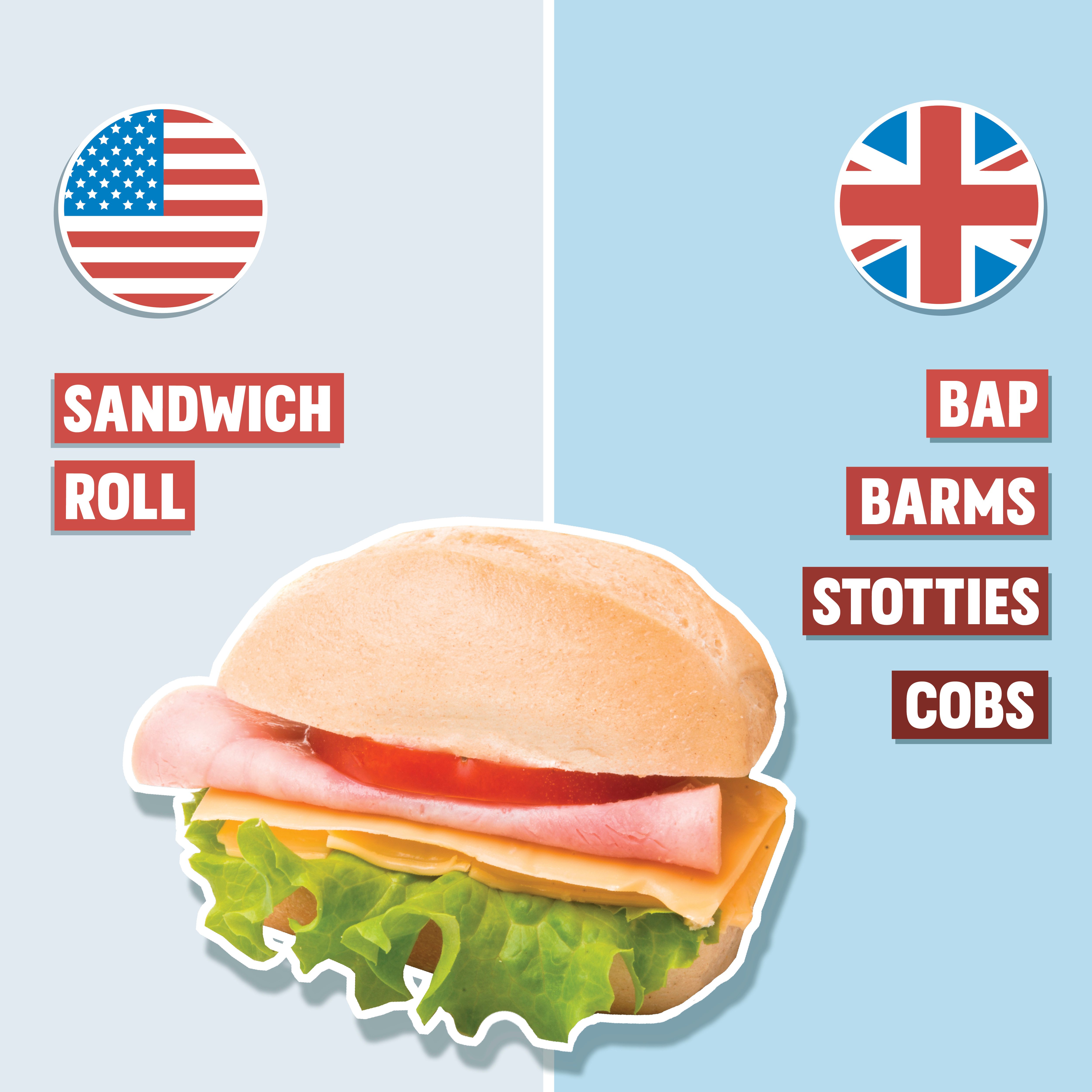 sandwich roll on blue background with american and british english pronunciation on either side