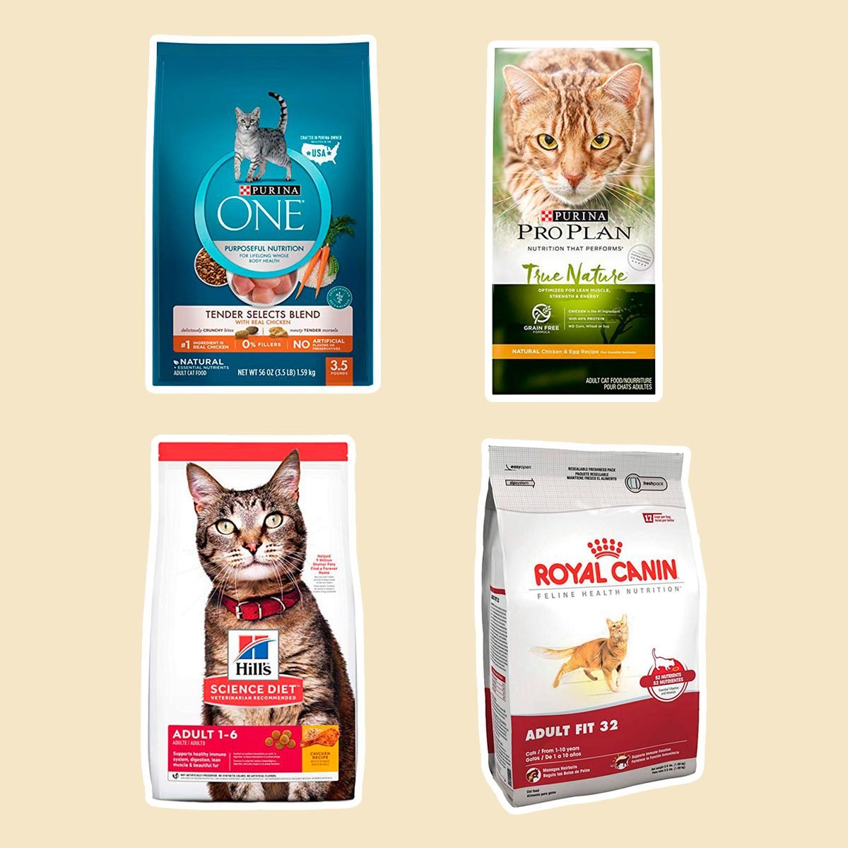 11 Best Dry Foods for Cats, According to Vets Taste of Home