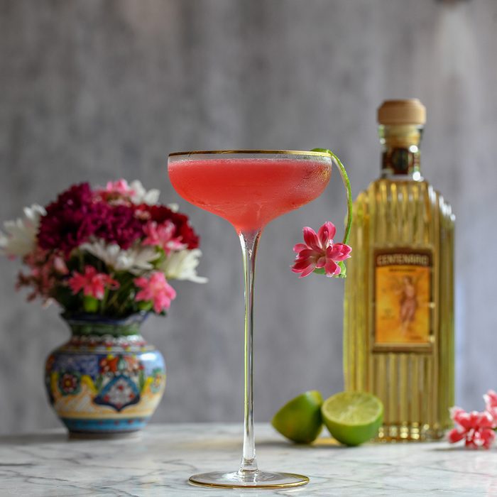 Hibiscus Martini