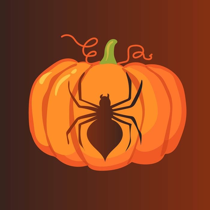 Spider pumpkin stencil