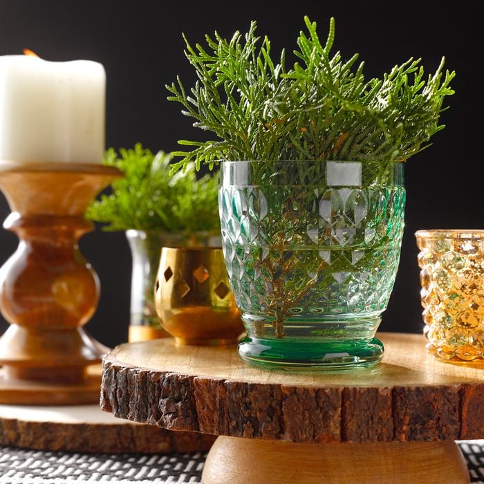 Bring The Outdoors In With Live Fur Pine Samplings Resting in a Green Glass Cup on a Wooden Table Setting atop of a woven placemat