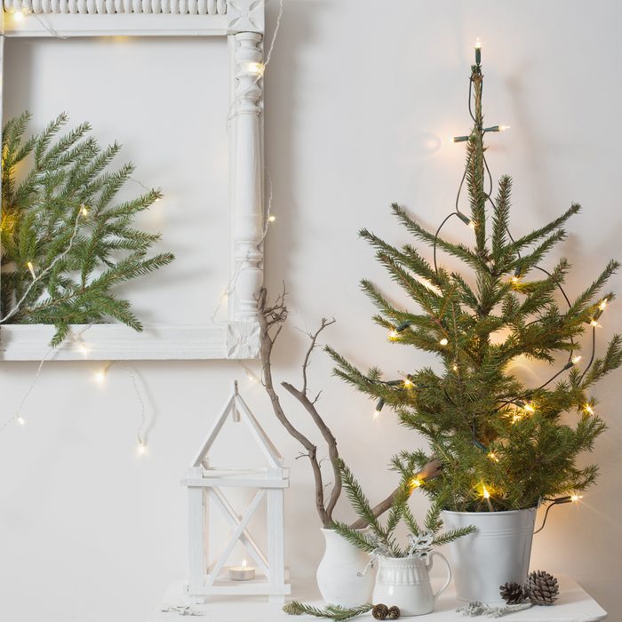 Minimal Christmas Decoration On White Wall Background with Clear Christmas Lights and Small Natural Pine Trees and Limbs