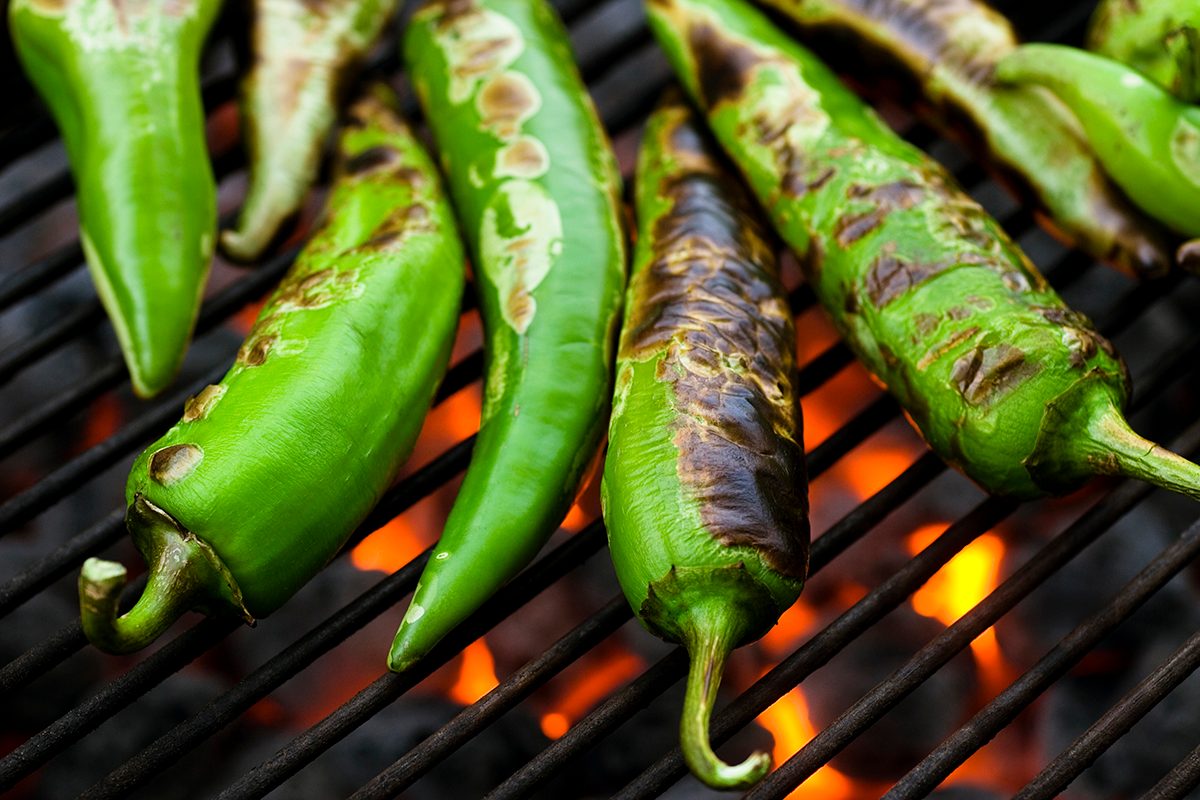 Fresh anaheim chili peppers roasting over a charcoal grill